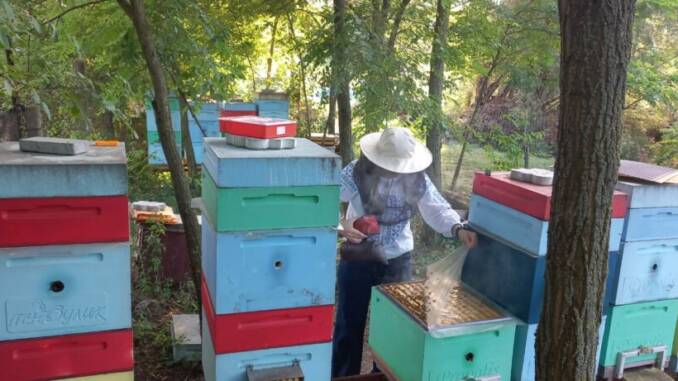 Corteva Agriscience sprijină câștigătoarea TalentA să creeze Bee Paradise pentru agricultură durabilă Corteva Agriscience sprijină câștigătoarea TalentA să creeze Bee Paradise pentru agricultură durabilă