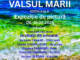 Expoziția Valsul mării la The Bridge: pictură marină, comentariu critic și poezie într-un cadru urban