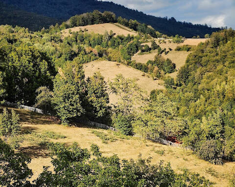 Orange Romania mobilizează 380 de colaboratori pentru a traversa și întreține Via Transilvanica în decurs de 12 ore