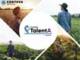 Corteva Agriscience pornește TalentA dedicat femeilor din mediul rural: pregătire, mentorat și finanțări pentru proiecte durabile