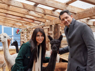 Canalul DIVA organizează un maraton de filme de iarnă în România până la 4 ianuarie 2026