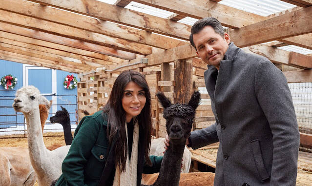 Canalul DIVA organizează un maraton de filme de iarnă în România până la 4 ianuarie 2026