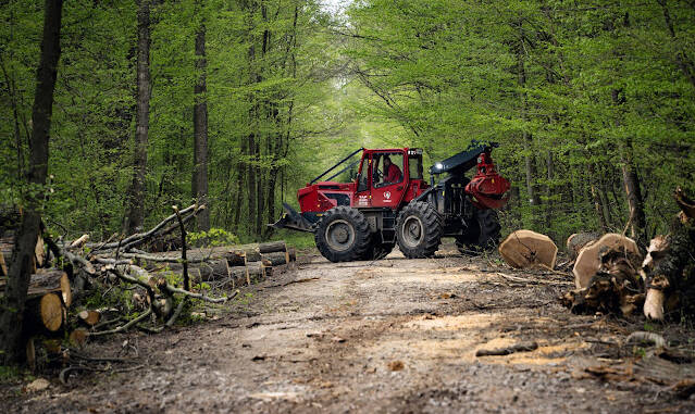 Industrie românească durabilă: Holcim, prin ECOPlanet PLUS, și IRUM modernizează producția de ciment și utilajele forestiere