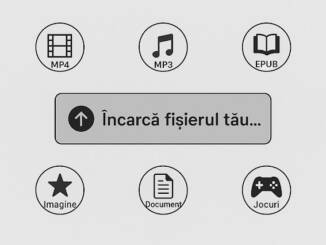 Tribunalul din Aachen condamnă Share-Online: doi ani de închisoare cu suspendare pentru administrarea unui cyberlocker pirat