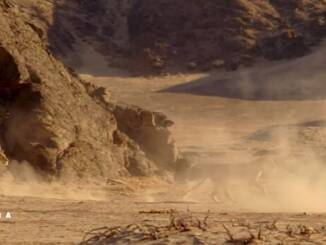 ARD și ZDF își mută accentul către mediul digital, retrag ARD alpha, tagesschau24 și ONE