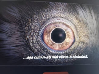 Netflix debutează miniseria The Dinosaurs, produsă de Steven Spielberg, care îmbină reconstrucții CGI cu știința