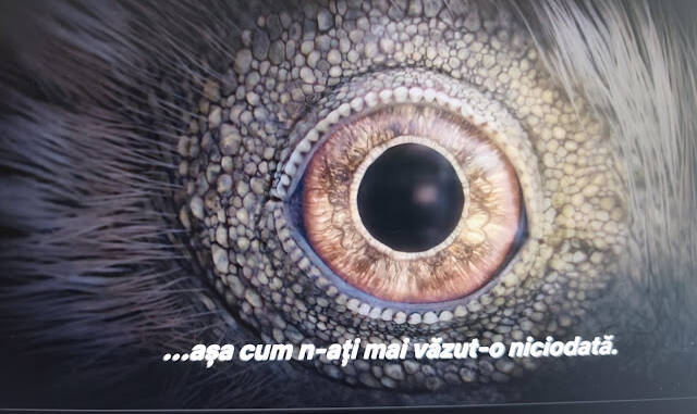 Netflix debutează miniseria The Dinosaurs, produsă de Steven Spielberg, care îmbină reconstrucții CGI cu știința